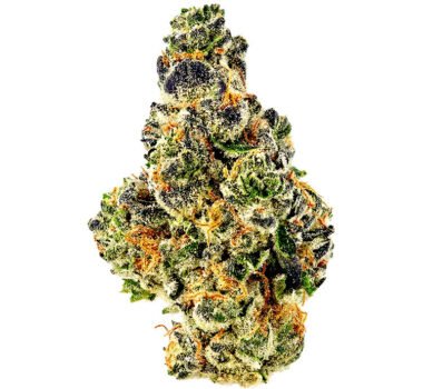 Animal Mints feminized cannabis seeds for sale