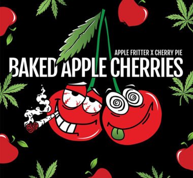 Baked Apple Cherries by Elev8 Seeds (Apple Fritter x Cherry Pie)