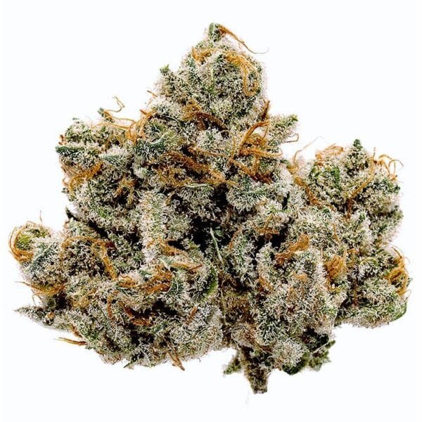 Blueberry Strain Archives 