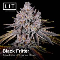 Black Friter / Black Fritters cannabis