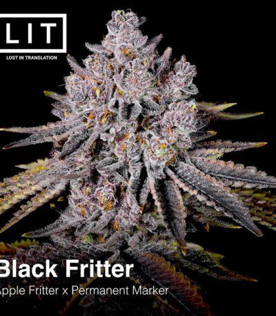 Black Friter / Black Fritters cannabis