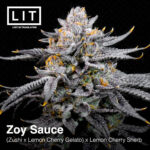 LIT Farms Zoy Sauce (feminized seeds)