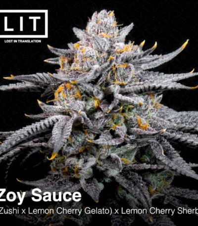 LIT Farms Zoy Sauce (feminized seeds)