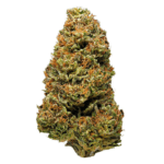 Hemp Harlequin seeds