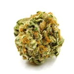 Stephen Hawking Kush seeds