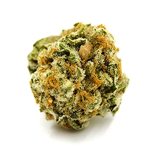 Stephen Hawking Kush seeds