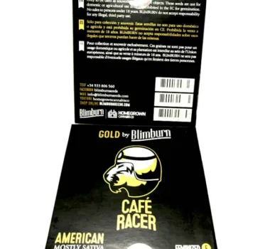 Thumbnail for Cafe Racer 95 6 seeds - Gelato Seeds