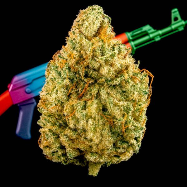 AK-47 strain:cannabis seeds for sale