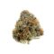 alien og kush seeds