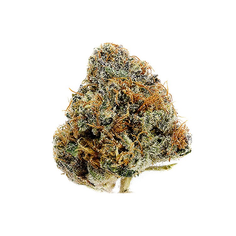 alien og kush seeds