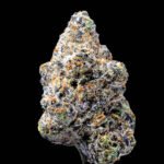 Andy Warhol Lemonnade strain Cookies Seeds
