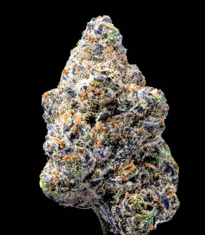 Andy Warhol Lemonnade strain Cookies Seeds