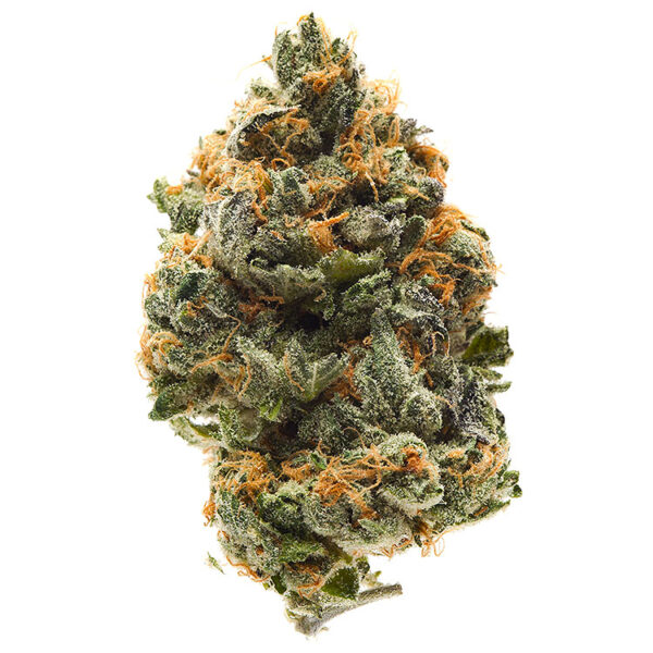 Banana OG seeds