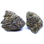 Thumbnail for Black Runtz Seeds 88 89 90 5 seeds - Gelato Seeds