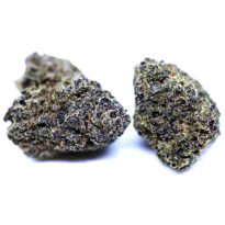 Black Runtz strain: cannabis seeds for sale