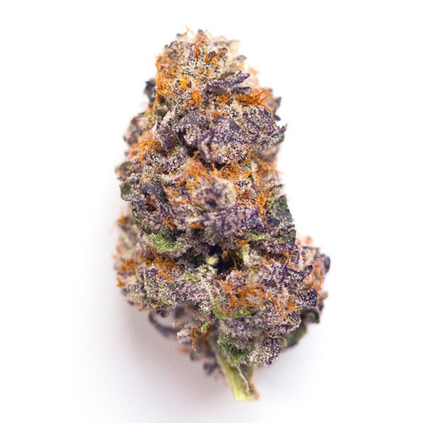 Candyland feminized cannabis seeds strain