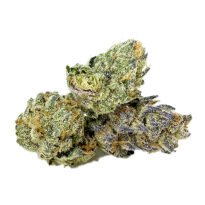 Candy Rain strain: feminized seeds for sale