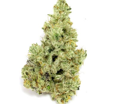 Cap Junky strain: feminized seeds for sale