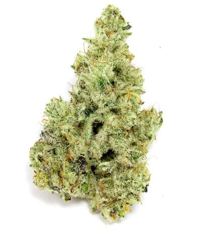 Cap Junky strain: feminized seeds for sale