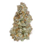 Thumbnail for Cereal Milk 88 89 90 5 seeds - Gelato Seeds