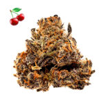 Cherry Pie Autoflower strain