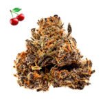 Thumbnail for Cherry Pie Auto 89 90 88 5 seeds - Gelato Seeds