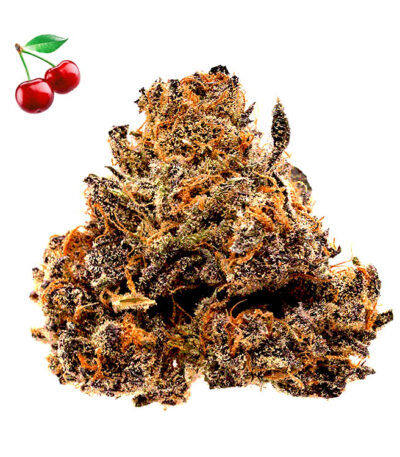 Cherry Pie Autoflower strain