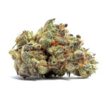 Thumbnail for Cookies and Cream 88 89 90 5 seeds - Gelato Seeds