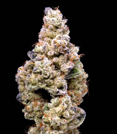 Crispy Sugar strain seeds: feminized cannabis seeds Lemonnade/Cookies