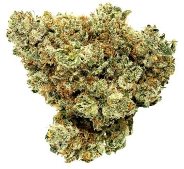 Fire OG feminized cannabis seeds