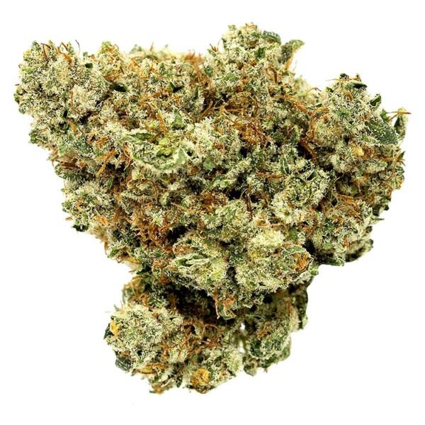 Fire OG feminized cannabis seeds