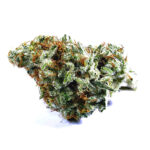 Thumbnail for Future #1 89 90 88 5 seeds - Gelato Seeds