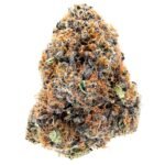 Thumbnail for Gelato 41 88 89 90 5 seeds - Gelato Seeds