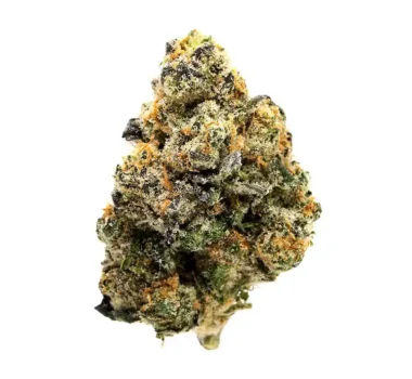 Girl Scout Cookies seeds for sale