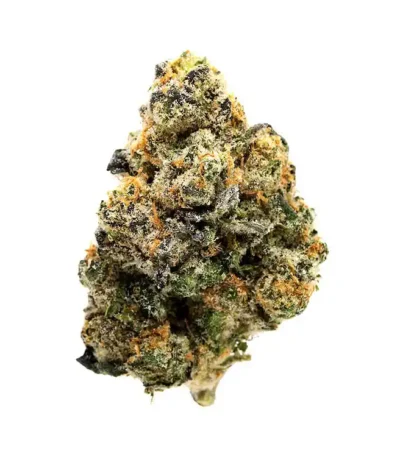 Girl Scout Cookies seeds for sale