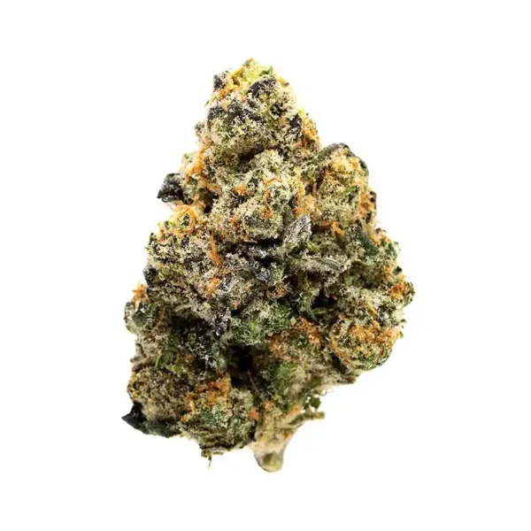 Girl Scout Cookies seeds for sale