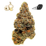 GMO Cookies feminized cannabis seeds (Garlic Cookies strain)