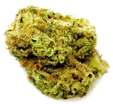 Godfather OG strain: feminized cannabis seeds for sale