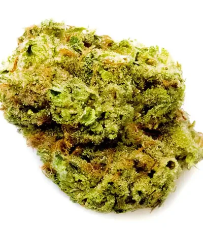 Godfather OG strain: feminized cannabis seeds for sale