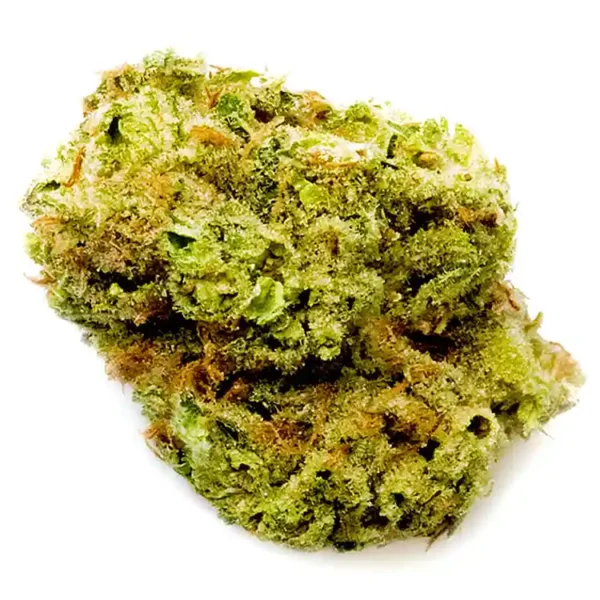 Godfather OG strain: feminized cannabis seeds for sale