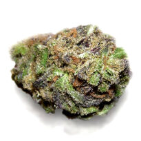 Gods Gift seeds for sale