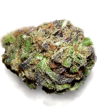 Gods Gift seeds for sale