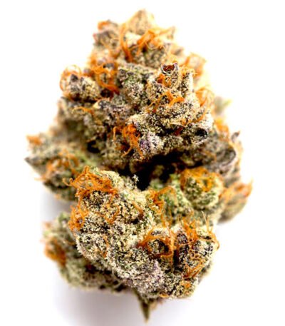 Headband Autoflower seeds for sale