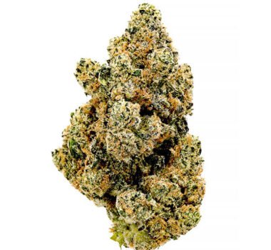 Herijuana seeds cannabis strain