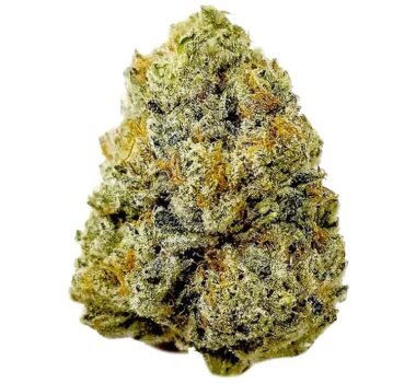 Holy Grail OG Kush seeds for sale.