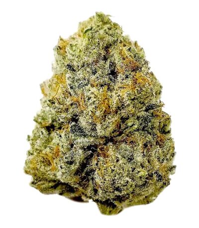 Thumbnail for Holy Grail OG Kush seeds 88 89 90 5 seeds - Gelato Seeds