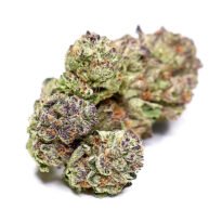 Thumbnail for Ice Cream Cake 88 89 90 5 seeds - Gelato Seeds