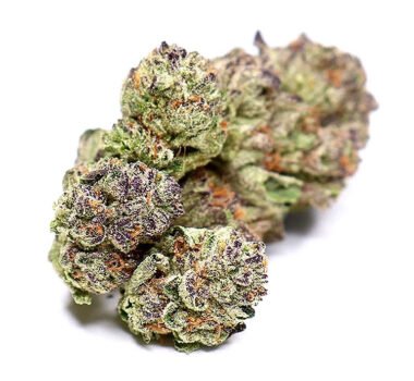 Buy Ice Cream Cake seeds for sale: Seed Junky phenotype