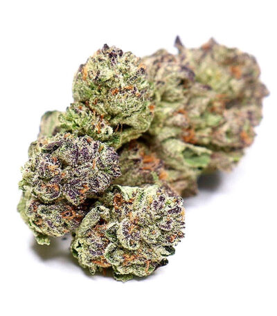 Thumbnail for Ice Cream Cake 88 89 90 5 seeds - Gelato Seeds