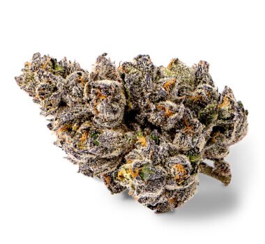 Jokerz feminized marijuana seeds for sale